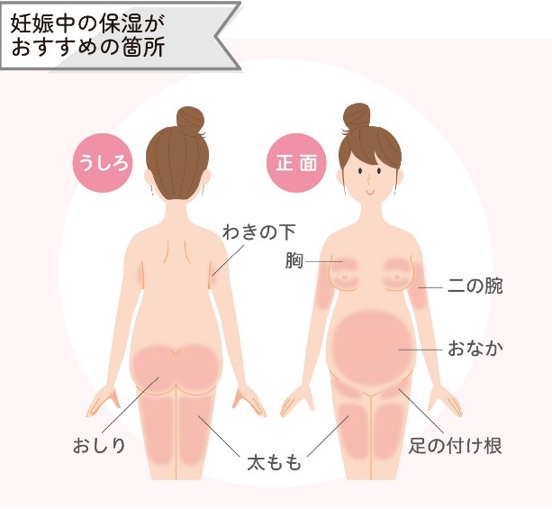 妊娠中の保湿がおすすめの箇所