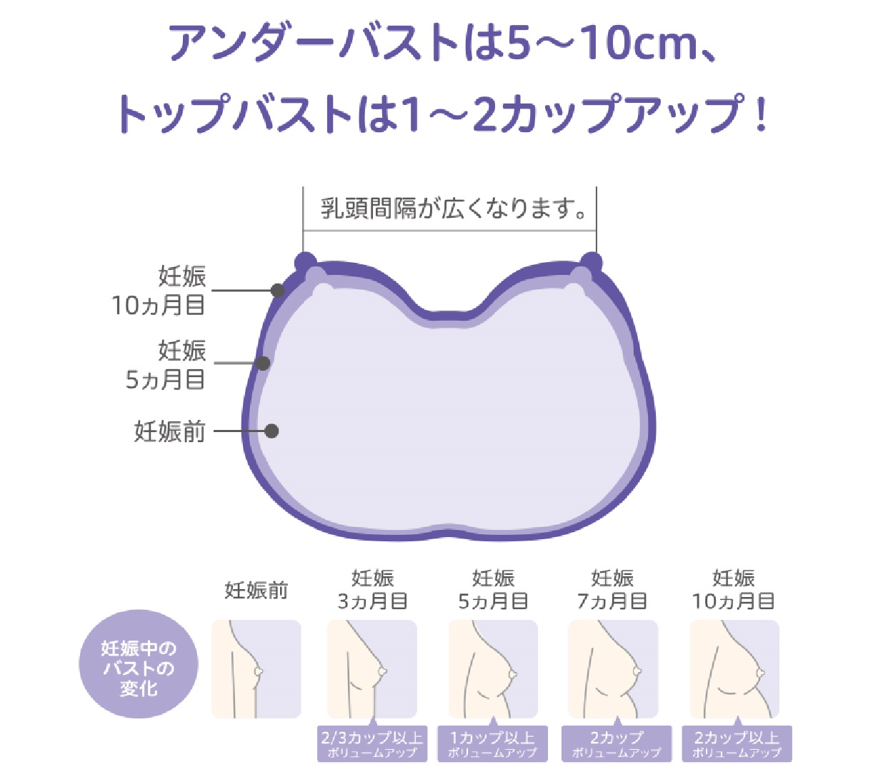 アンダーバストは5~10㎝、トップバストは1~2カップアップ!