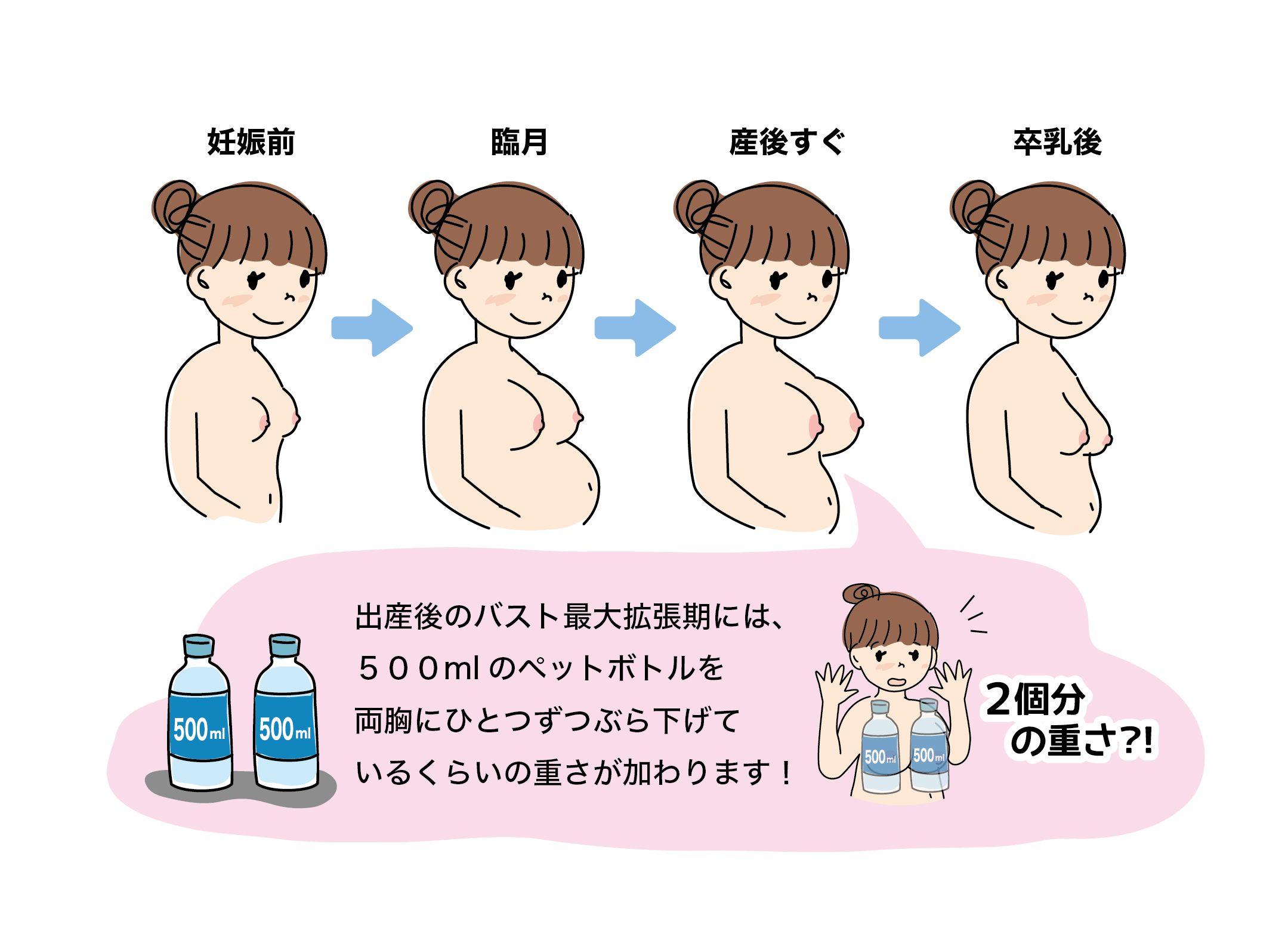 出産後のバスト最大拡張期には、500mlのペットボトルを両胸にひとつずつぶら下げているくらいの重さが加わります。