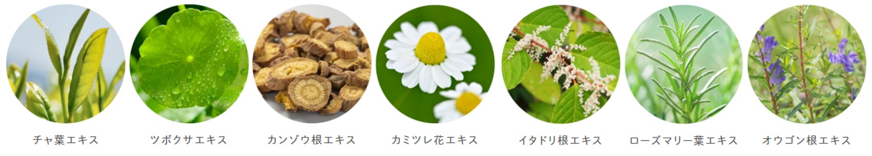 #{title}
